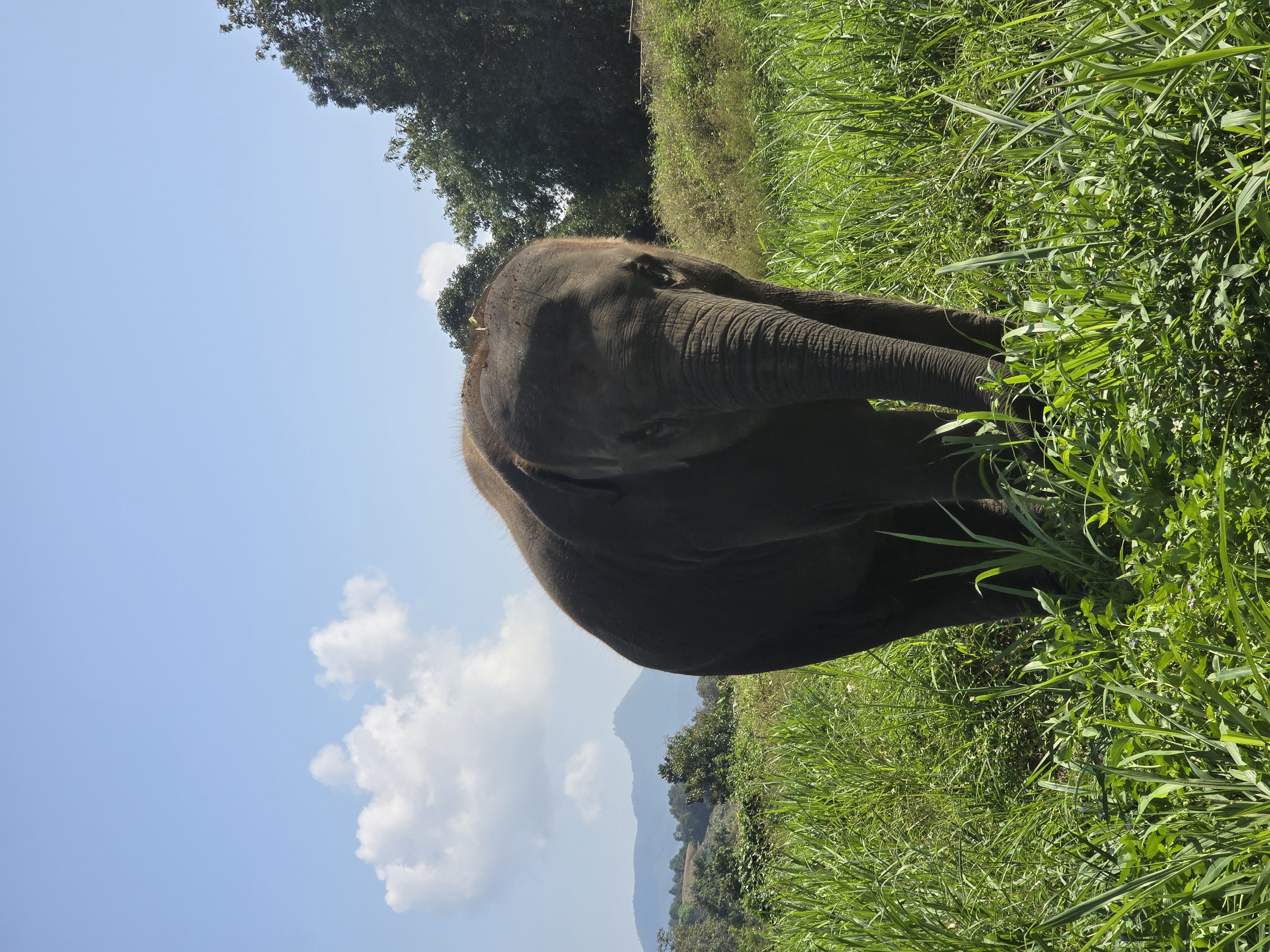 20241110_112444